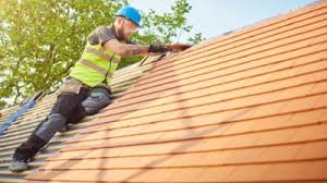 Best Roof Moss and Algae Removal  in Cherry Grove, OH